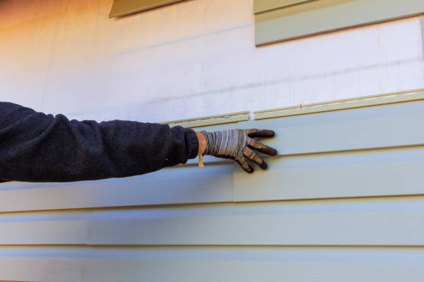 Best Fascia and Soffit Installation  in Carrizozo, NM